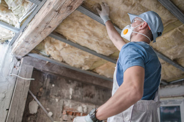Best Insulation Maintenance and Repair in Brighton, MI