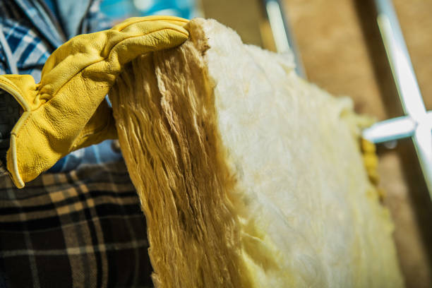Professional Insulation Contractor in Brighton, MI