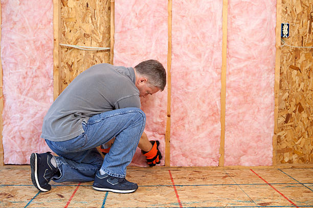 Best Energy Efficiency Insulation in Brighton, MI