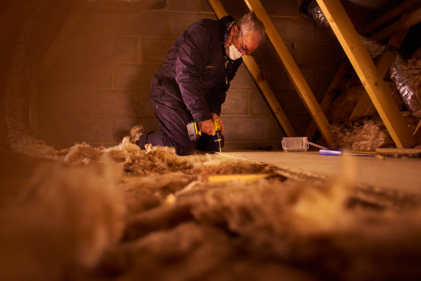 Best Geographic-Specific Insulation Services in Brighton, MI