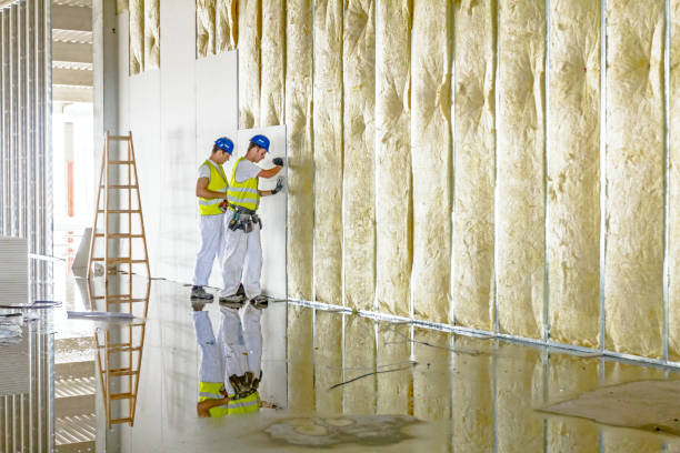 Best Spray Foam Insulation in Brighton, MI